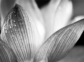 云呼死你轰炸免费网页平台